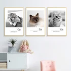 Картина на холсте в скандинавском стиле с изображением милых кошек, настенные плакаты с изображением животных, модульные картины для детей, гостиной, домашний декор