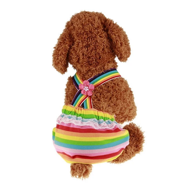 Dog Diaper Sanitary Physiological Pants Washable Female Dog Shorts Panties Menstruation Underwear for Chihuahua Puppy Dog
