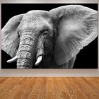 Wall Art Nordic печать темная Африка плакат с дизайном слон Черный и белый настенные картины для Гостиная Куадрос Dormitorio