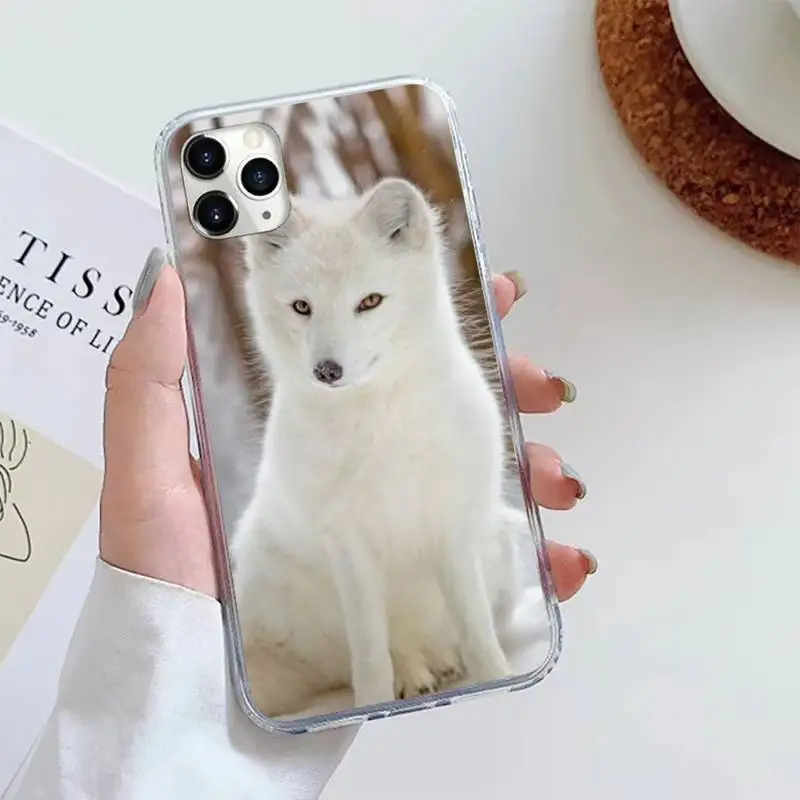 

Fox animal pattern funny Phone Case For iphone 12 5 5s 5c se 6 6s 7 8 plus x xs xr 11 pro max