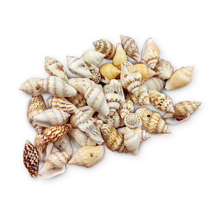 

Морские ракушки с отверстиями wlyees 7x14 мм 100 шт