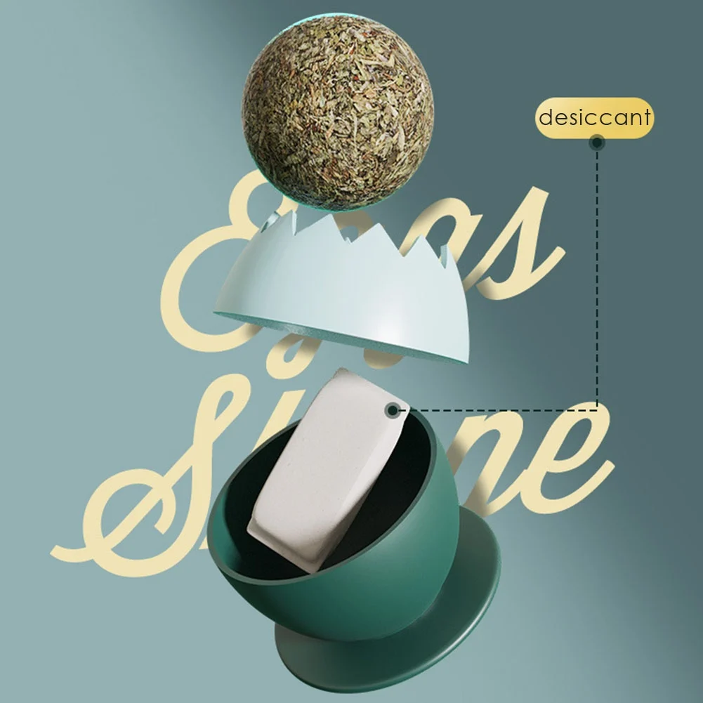 Натуральная кошачья мята игрушки для кошек уборка зубов в помещении котенок