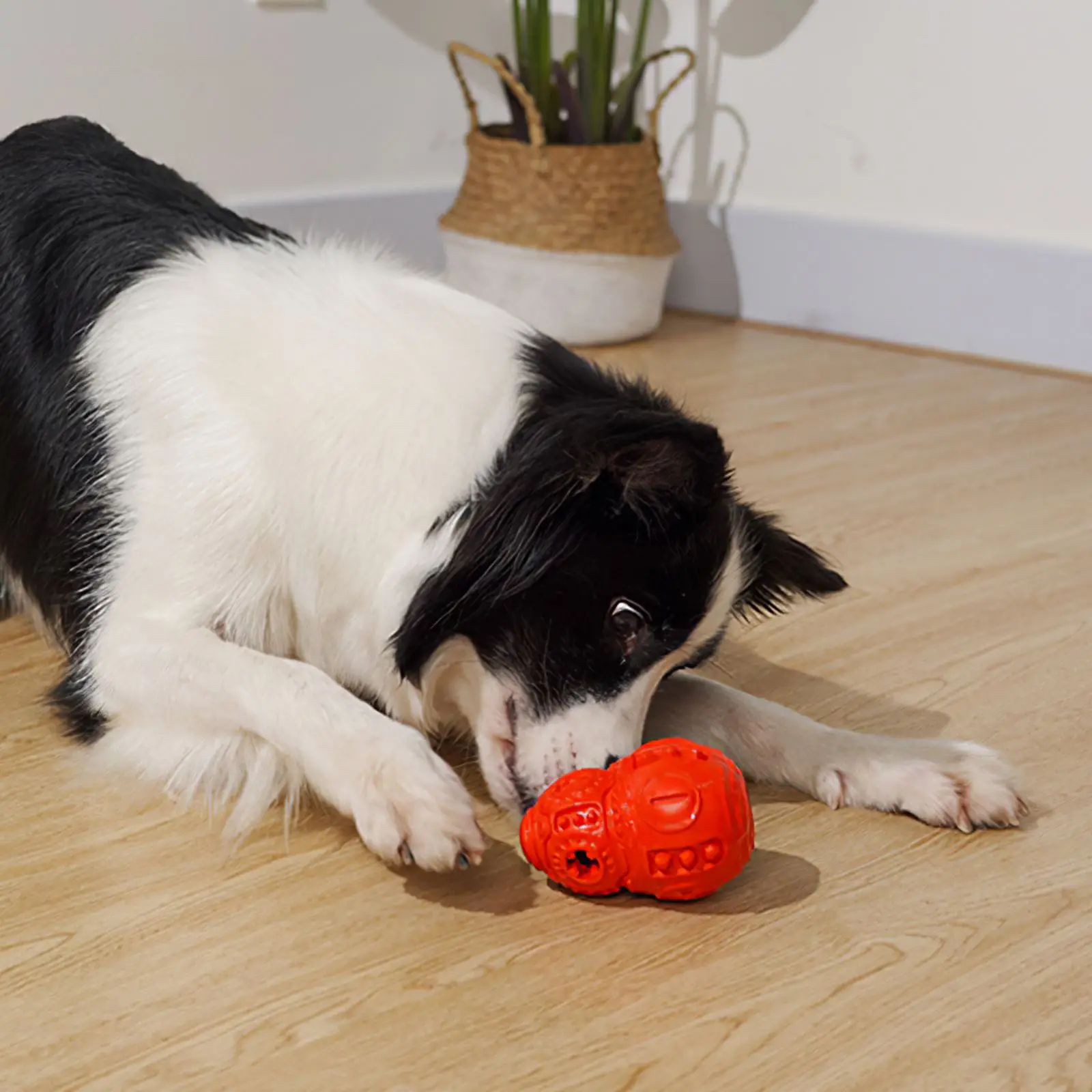 

Dog Toys Pet Ball Bone Rope Squeaky MaskToys Kit Puppy Lnteractive Molar Chewing Toy For Large Dogs Toothbrush Molar Supplies