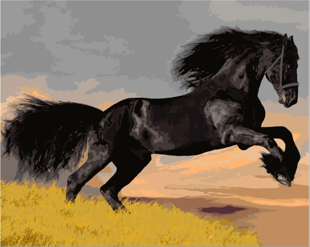 

Black Steed Painting By Numbers For Adults Diy Kits Handpainted On Canvas With Framed Oil Picture Drawing Coloring By Number