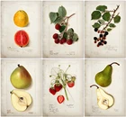 Фруктовый кухонный постер, винтажный постер, античная, груша, яблоко, апельсин, ананас, настенное искусство, декоративное изображение, крафт-бумага