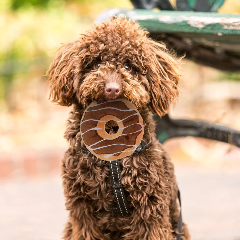 

2pcs Donut Pet Toys Puppy Chew Pet Interactive Teeth Grinding