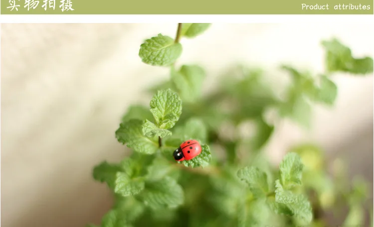 20 шт. милые деревянные Божья коровка губка самоклеющиеся наклейки для детей