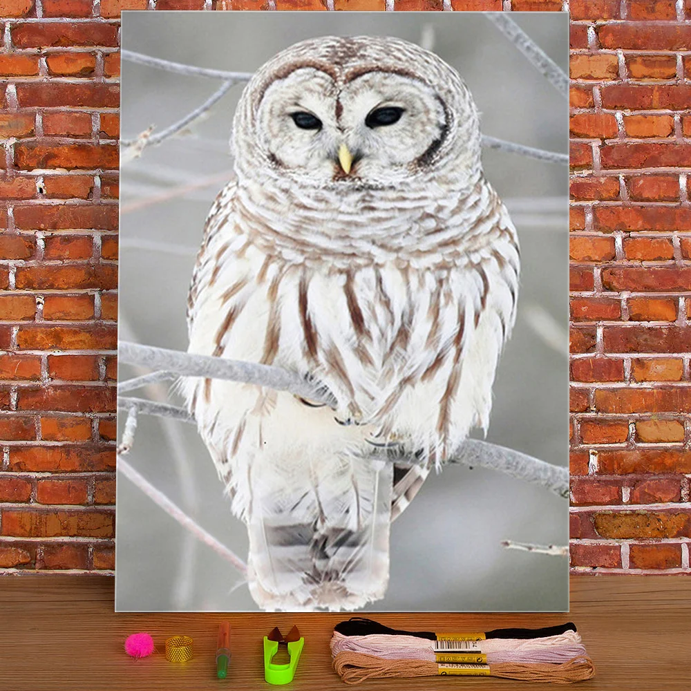 Bird Owl Animal Pre-Printed 11CT Cross-Stitch DIY Embroidery Complete Kit DMC Threads Hobby Handicraft Painting Stamped |