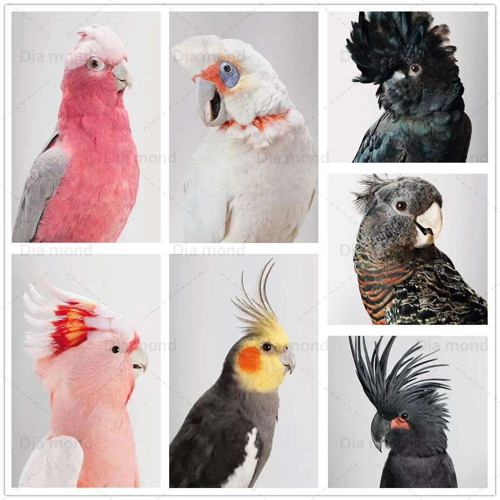 

5D Diy Diamond Painting Parrot Birds Animal Full Drill Diamond Embroidery Cross Stitch Kits Mosaic Wall Art Home Decoration