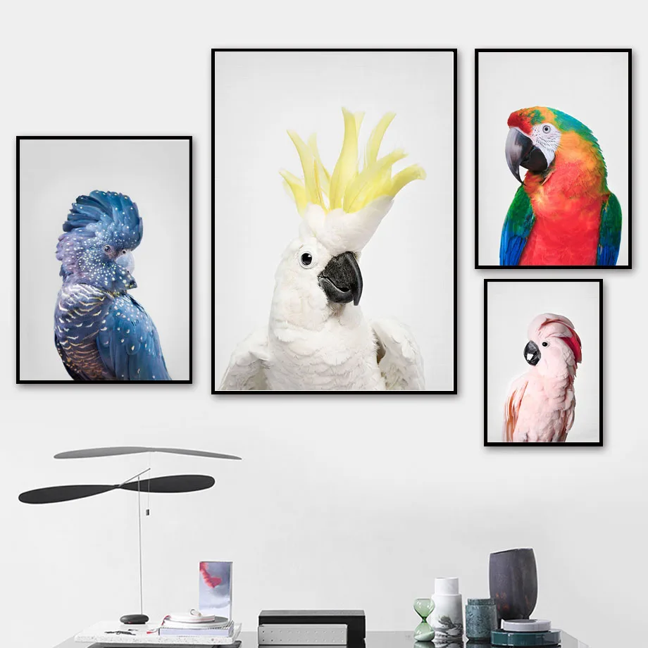 

Australian Parrot Cockatoo Wall Art Canvas Painting And Prints Animal Nursery Pictures For Living Room Decor Nordic Posters