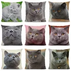 Милый чехол для подушки в британском стиле с коротким котом 45x45 см, декоративный чехол для подушки с животным принтом для дома DWM020