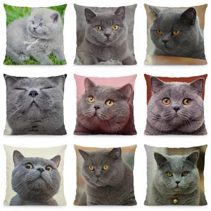 Милый чехол для подушки в британском стиле с коротким котом 45x45 см, декоративный чехол для подушки с животным принтом для дома DWM020