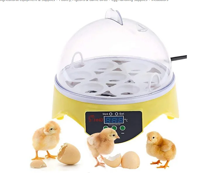 

Eggs Incubator Brooder Bird Quail Incubator Chick Hatchery Incubator Poultry Hatcher Turner Automatic Farm Incubation Tools