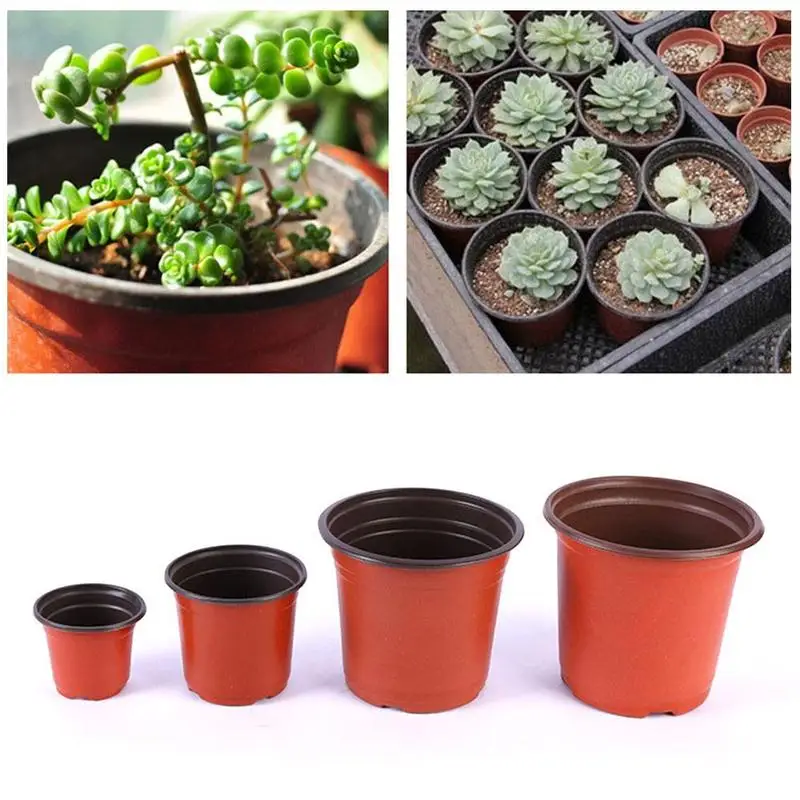 1 шт. Пластик рост коробка защита от ударов при падении кассета для рассады Семья