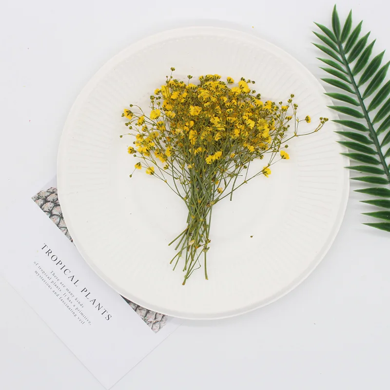 Натуральные сушеные цветы тиснение Botany образец Diy клей ручной оболочки Ароматерапия Свеча фоторамка активность материал наука - Цвет: Big yellow