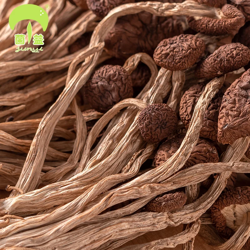 

The selection of tea tree mushroom