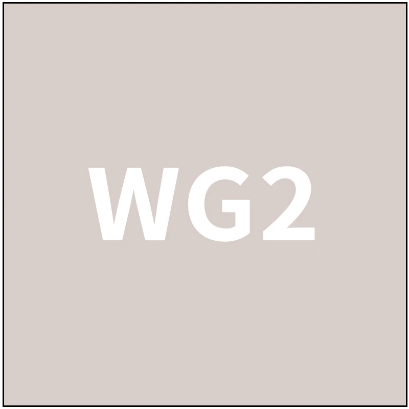 number-WG2 TOUCHFIVE 168 цветов одиночные художественные маркеры Кисть ручка эскиз на спиртовой основе маркеры двойная головка манга ручки для рисования товары для рукоделия - Цвет: number-WG2