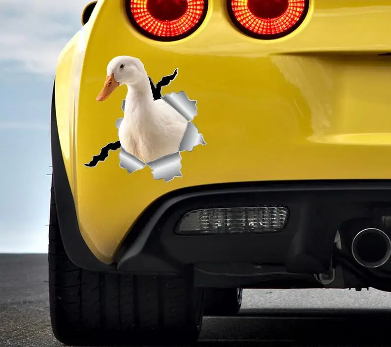 

Duck stickers Car sticker Planner stickers White duck sticker Window duck sticker Animal stickers Rubber duck Duck