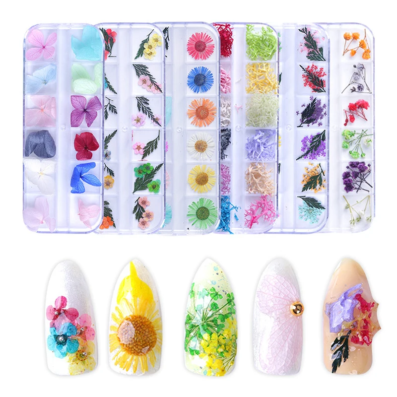 

Mix Dried Flowers Resin Filler Slime Box for Nail Art Decorations Natural Floral Leaf Stickers Accessories for Jewelry DIY