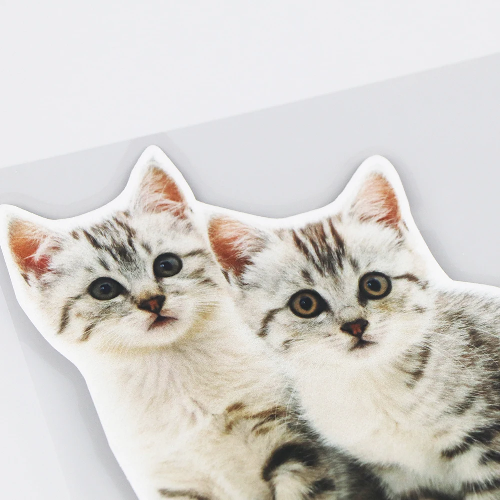 

YJZT 15.815.3CM Two Surprised Kittens Window Bumper Decals Decoration Car Sticker Accessories 21A-0229