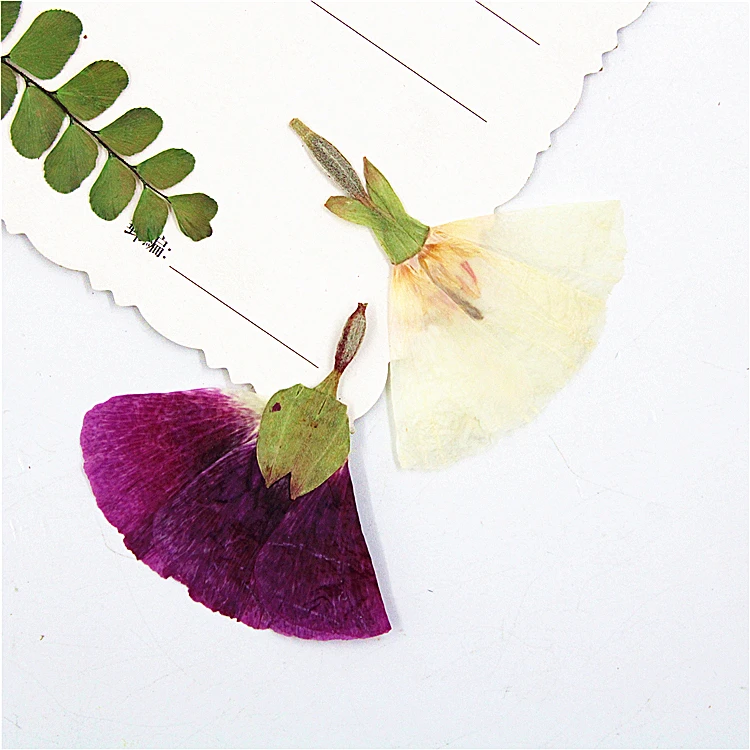 16 шт./3-5 см натуральные прессованные цветочные лепестки вечный фанерообразный