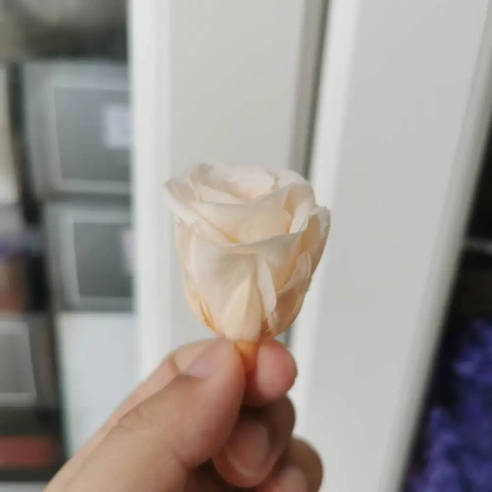 

2-3CM/21pcs,Grade B Mini Preserved Roses Heads,Beauty And The Beast Forever Rose,Rose Eternal For Gift,Wedding party Decoration
