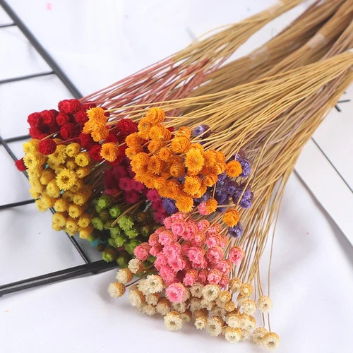 

50pcs Flower Brazilian Natural Dried Flower Bouquet Home Decor Real Flower Diy Flower Arrangement Eternal Flower Shooting Props