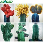 Алмазная живопись AZQSD, Новые поступления, кактус, картина для Стразы, домашний декор, алмазная вышивка, распродажа, цветы ручной работы