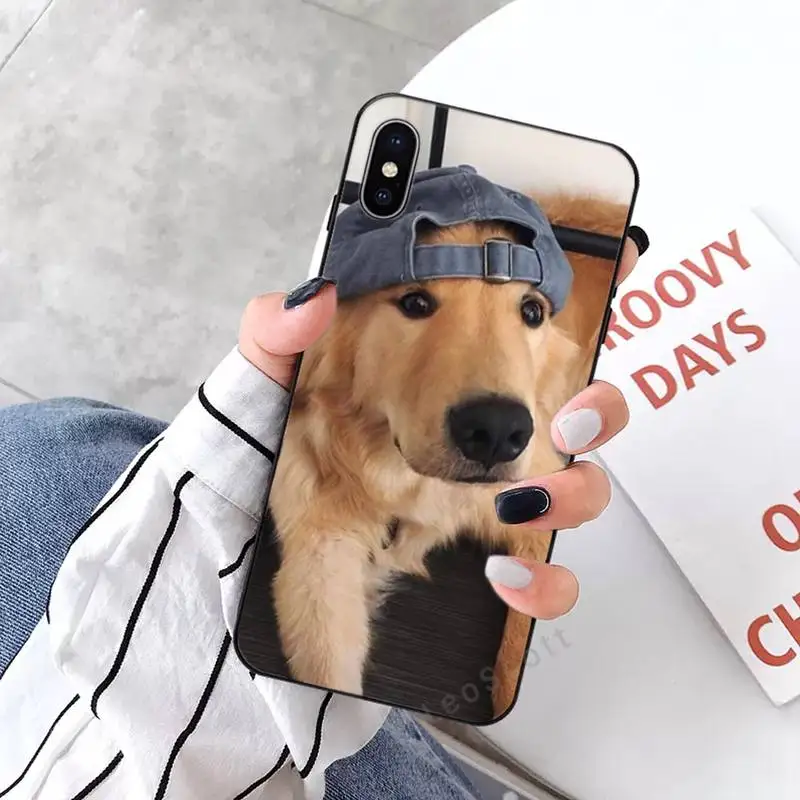 

Funny Golden retriever dog luxury Phone Case shell for iPhone 11 12 pro XS MAX 8 7 6 6S Plus X 2020 XR Mini