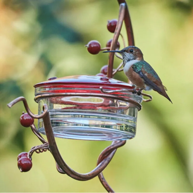 

New Hummingbird Feeder Bird Water Feeder Bottle Hanging Garden Outdoor Plastic Hook Durable Pet Bird Feeding Supplies