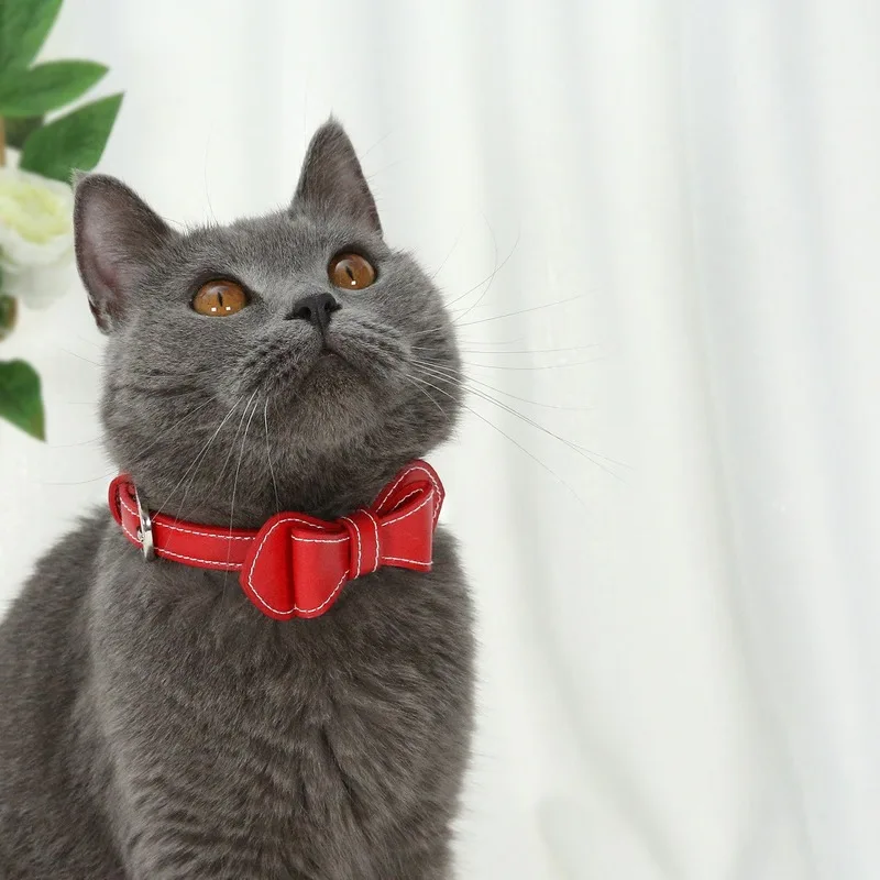 Однотонный модный галстук-бабочка для кошек и собак ошейник-бабочка маленьких