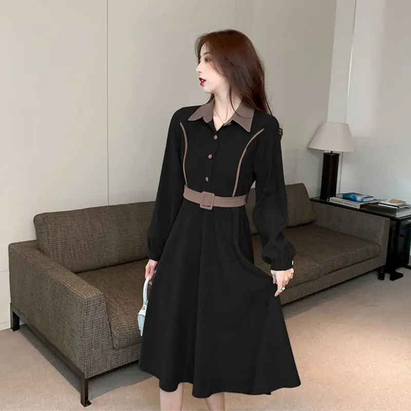 

Thickened dress autumn and winter 2021 new shirt skirt light luxury design with overcoat skirt