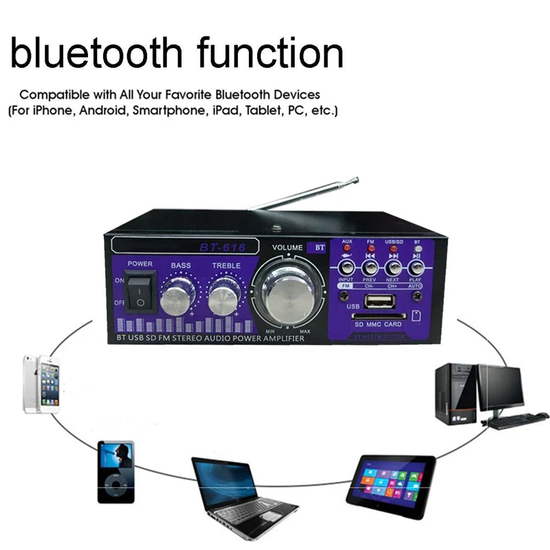 Аудио Мощность усилитель со штепсельной вилкой европейского стандарта 12/220V 2