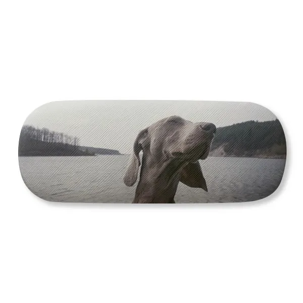 

Dog Pet Animal Gray Picture Glasses Case Eyeglasses Clam Shell Holder Storage Box