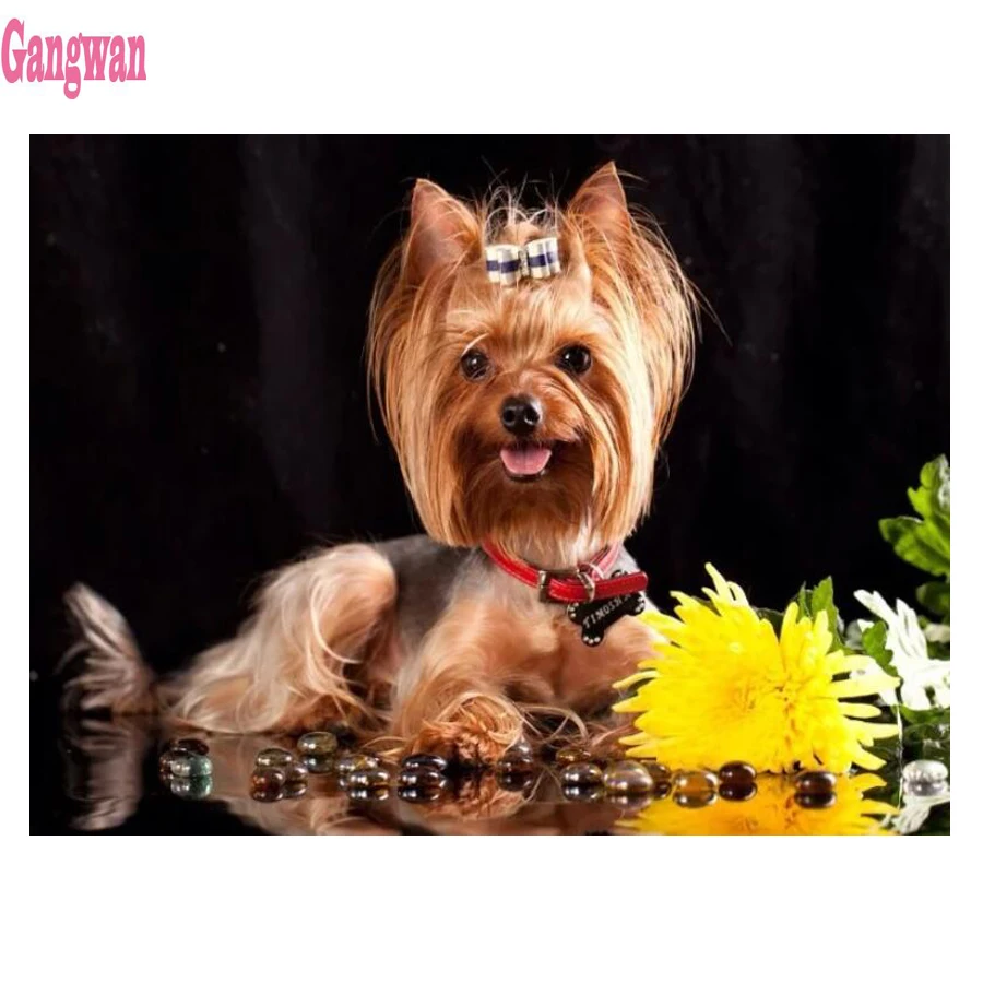 Стразы для вышивки своими руками 5D алмазная картина йоркширский терьер собака