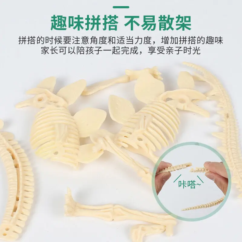 Детские археологические наборы для копания динозавров Детская творческая