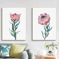 watercolor protea flowers botanical posters pink floral canvas painting and prints wall art pictures for living room home decor