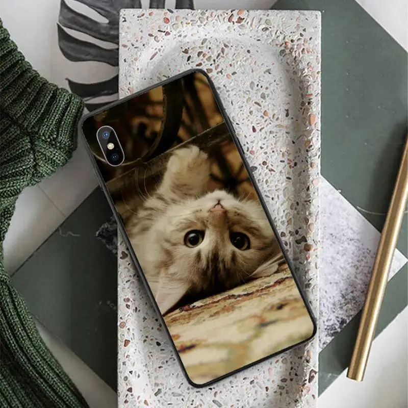 

Cute cat animal pet high quality Phone Case for iPhone 11 12 pro XS MAX 8 7 6 6S Plus X 5S SE 2020 XR