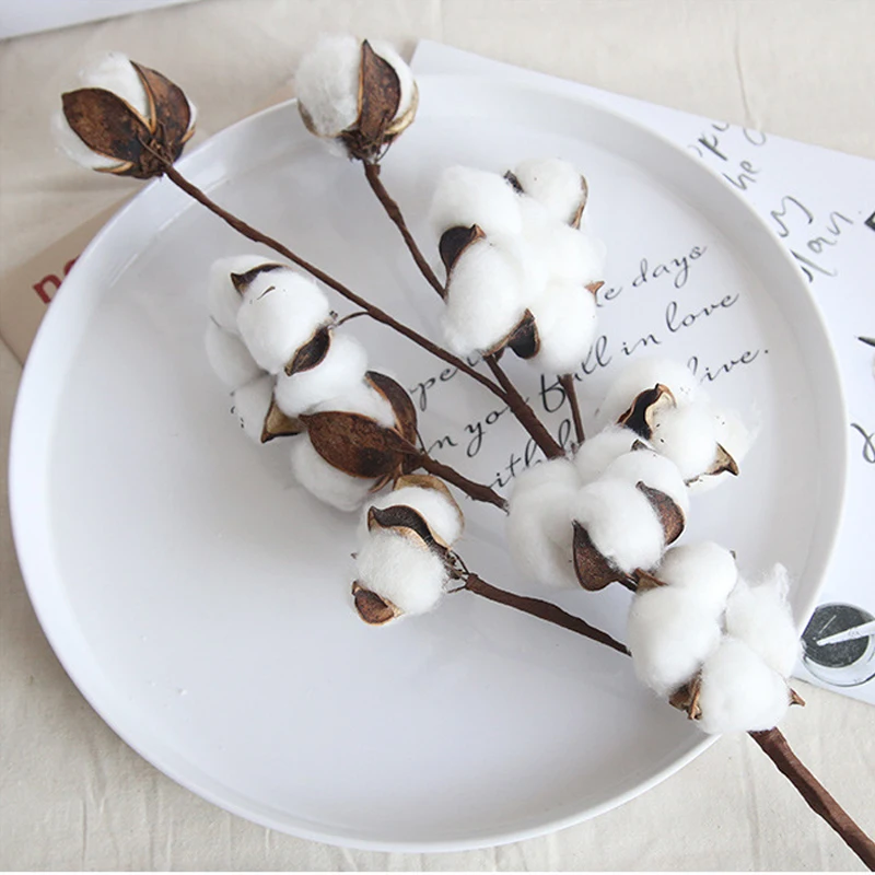 Сушеные цветы из натурального хлопка 10 головок искусственные растения Цветочная