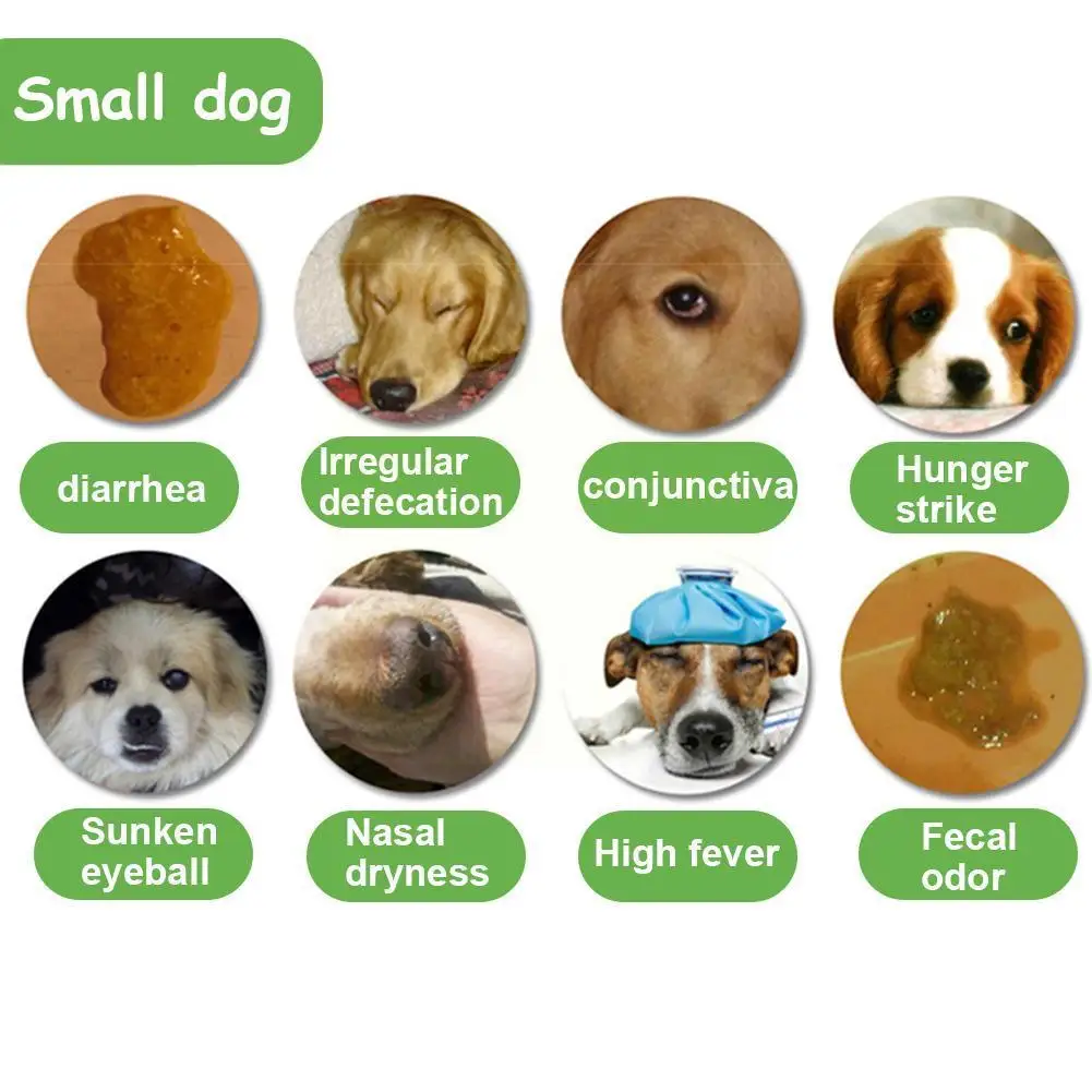 Тест для домашних животных на бумаге кошка собаки домашнее обнаружение