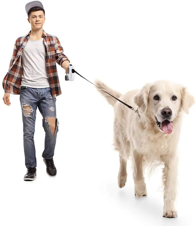 

HIPIDOG Durable Nylon Dog Leash Automatic Retractable 5 meters Long Traction Rope for Small\Large Dog Pet Harnesses & Leads