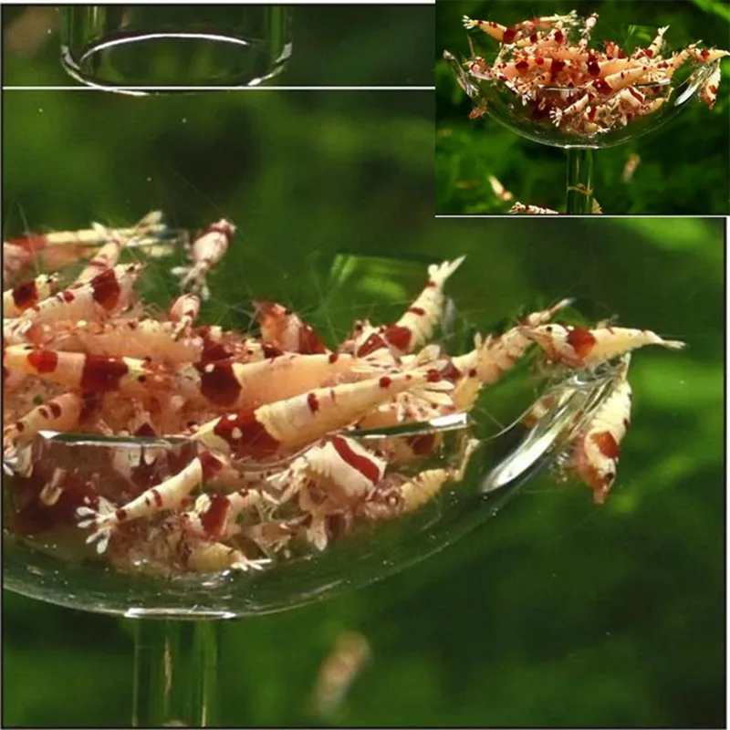 Аквариумная креветка акриловая миска для кормления рыбка кормушка с резервуаром