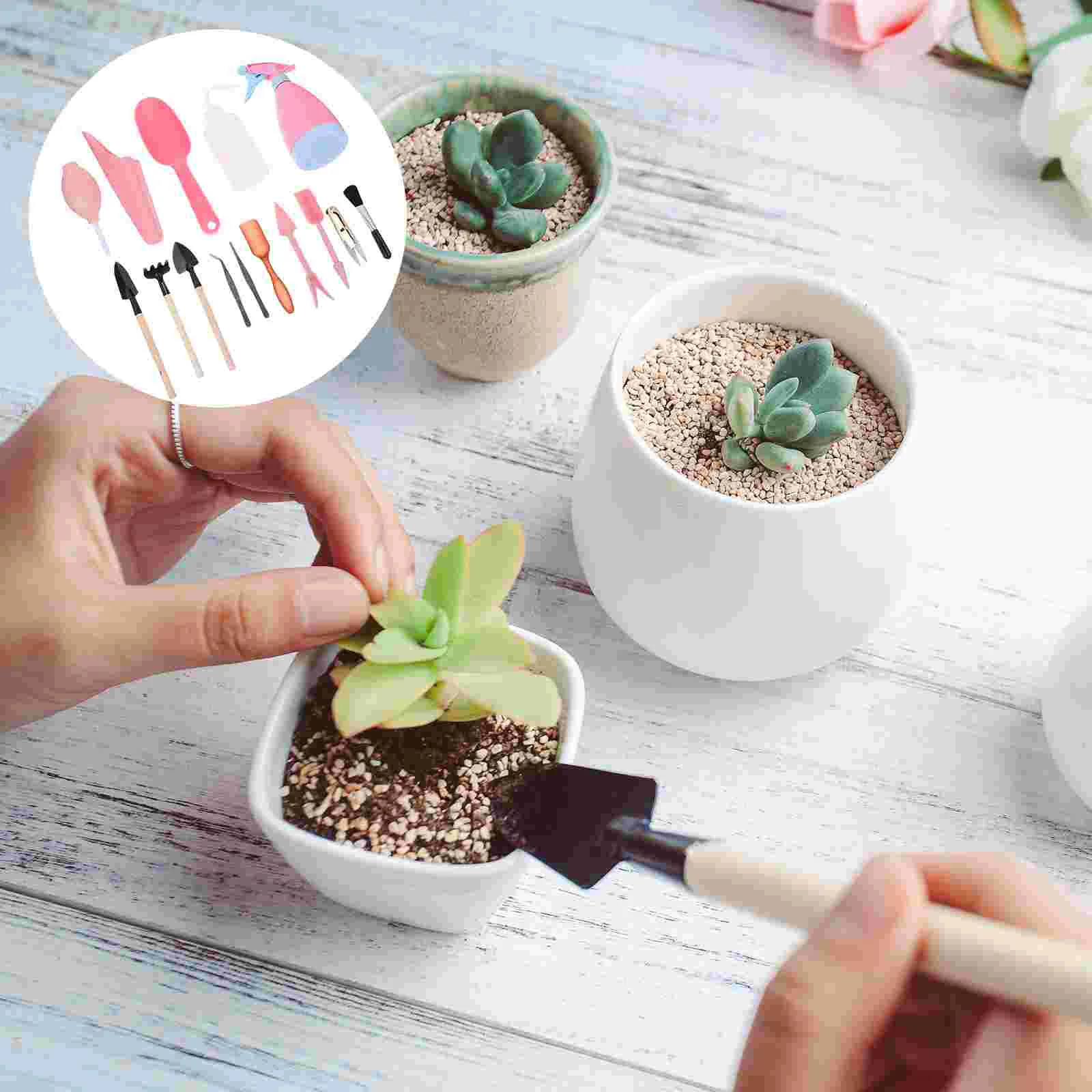 

1 Set Succulent Planting Tool Indoor Potting Houseplant Bonsai Tool