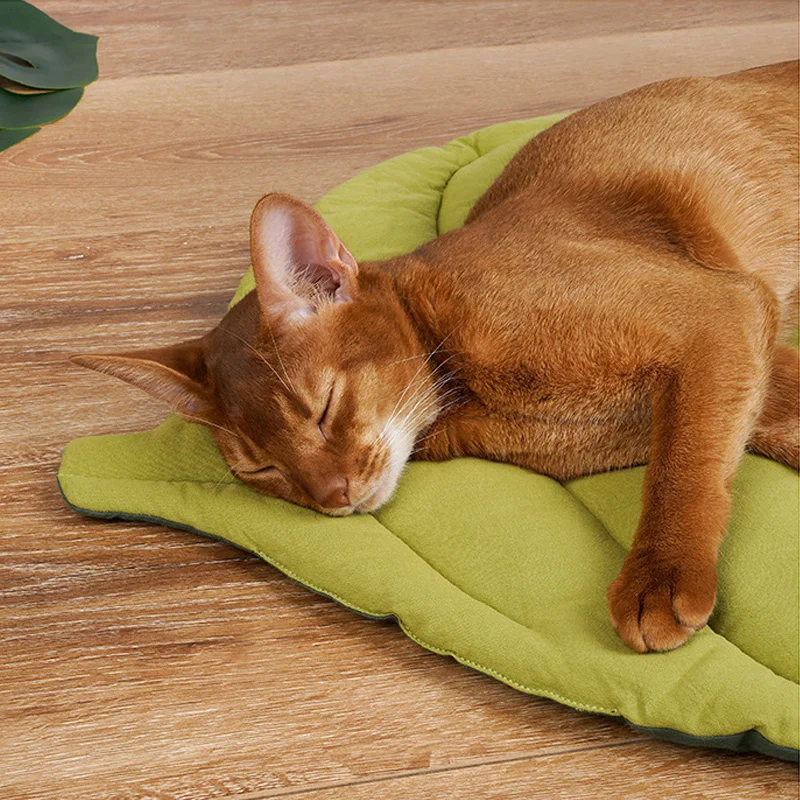 

Leaf Shape Dog Bed Mat Soft Crate Pad Washable Mattress Dogs And Cats Kennel Pad Leaf Cat Mats For Sleeping Pet Sleeping Mats