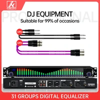 dual 31 bands equalizer audio digital equalizador profesional sound system stage home karaoke musical instrument with squelch