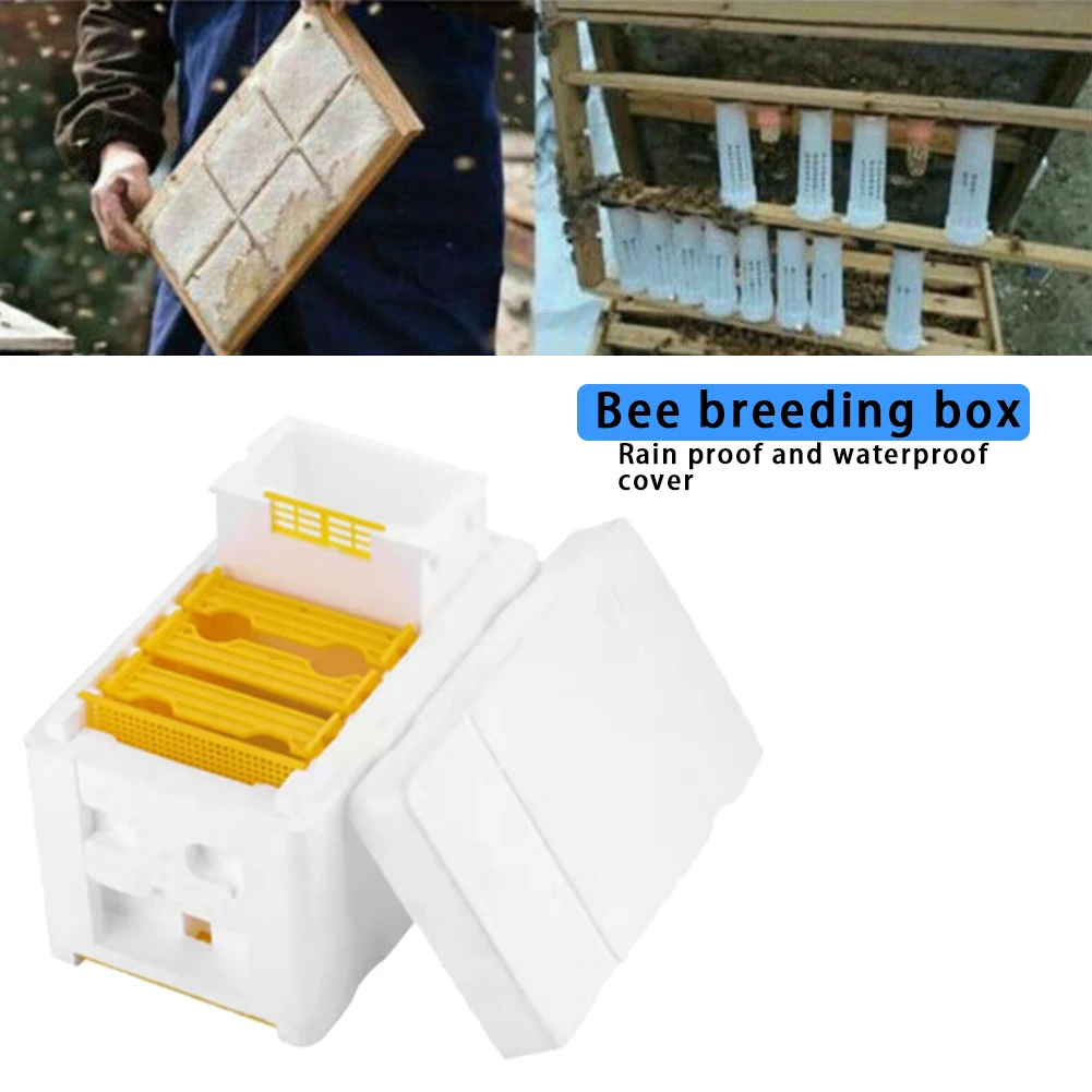 

Bee Hive Frame Holder Equipment Kit Beehive Pollination King Bees Hive Box Beekeeping Tools For Beekeeper Supplies