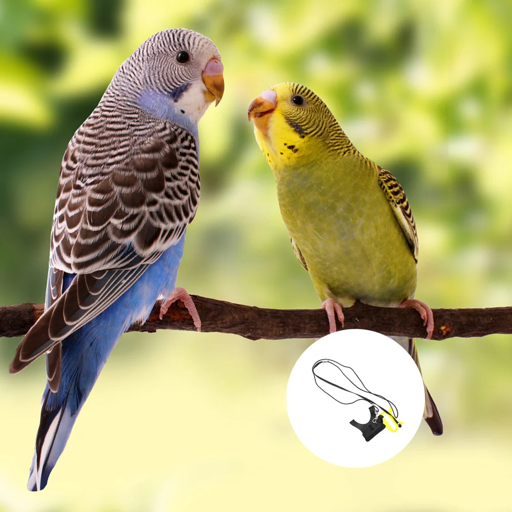 

Parrots Bird Vest and Adjustable Harness Leash Set Outdoor Training Rope