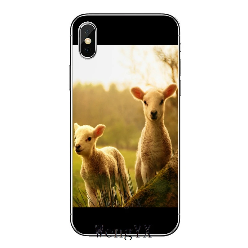 Мягкий силиконовый чехол для телефона с милой овечкой iPhone 11 Pro XS Max XR X 8 7 6 6S Plus 5 5S SE