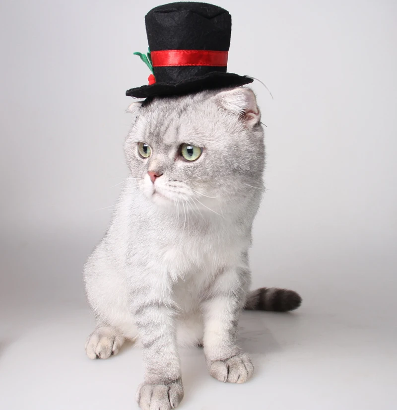 Регулируемый красный черный костюм с головным убором для домашних животных