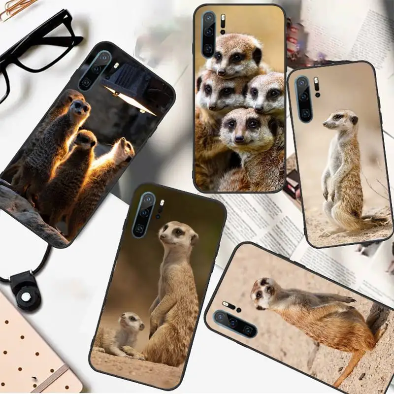 

animal mob of meerkats Phone Case For Huawei honor Mate P 10 20 30 40 i 9 8 pro x Lite smart 2019 nova 5t